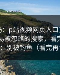 你敢信吗：p站视频网页入口又更新了，最容易被忽略的搜索，看完你就懂了：别被钓鱼（看完再说）