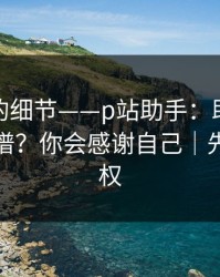 被忽略的细节——p站助手：助手到底靠不靠谱？你会感谢自己｜先搞清版权