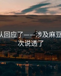创作团队回应了——涉及麻豆影视-这次说透了