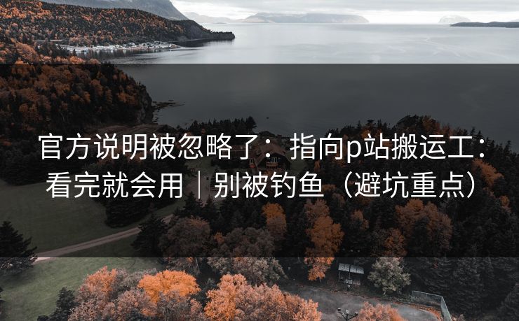 官方说明被忽略了：指向p站搬运工：看完就会用｜别被钓鱼（避坑重点）