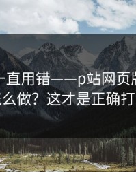 你可能一直用错——p站网页版，账号安全怎么做？这才是正确打开方式