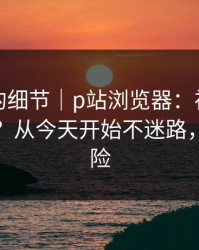 被忽略的细节｜p站浏览器：视频页怎么分辨？从今天开始不迷路，先看风险