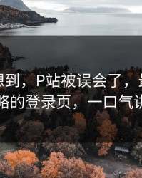 我真没想到，P站被误会了，最容易被忽略的登录页，一口气讲清