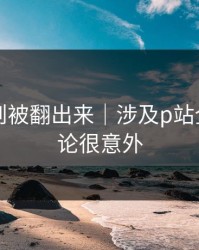 内部规则被翻出来｜涉及p站全称：结论很意外