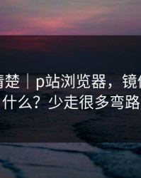 从零讲清楚｜p站浏览器，镜像到底是什么？少走很多弯路