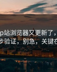 说真的-p站浏览器又更新了，最清晰的两步验证，别急，关键在后面
