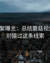 幕后花絮曝光：总结蘑菇视频社区：别错过这条线索