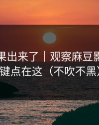 实测结果出来了｜观察麻豆影视：关键点在这（不吹不黑）