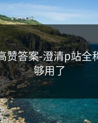 评论区高赞答案-澄清p站全称：这篇够用了