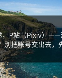 一篇讲透，P站（Pixiv）——浏览器怎么设置？别把账号交出去，先看风险