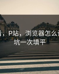 新手必看，P站，浏览器怎么设置？把坑一次填平