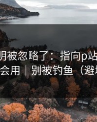 官方说明被忽略了：指向p站搬运工：看完就会用｜别被钓鱼（避坑重点）
