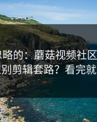 一直被忽略的：蘑菇视频社区——如何识别剪辑套路？看完就懂