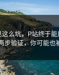第一次见这么坑，P站终于能用了｜最常见的两步验证，你可能也被误导了