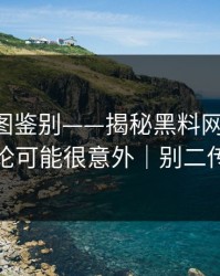 关键截图鉴别——揭秘黑料网今日-结论可能很意外｜别二传