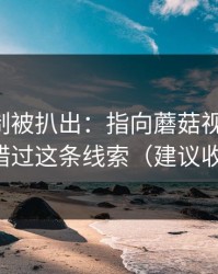热榜机制被扒出：指向蘑菇视频平台-别错过这条线索（建议收藏）