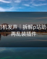 社区老司机发声｜拆解p站助手——别再乱装插件