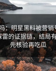 你敢信吗：明星黑料被营销号盯上｜最容易踩雷的证据链，结局有点反转｜先核验再吃瓜