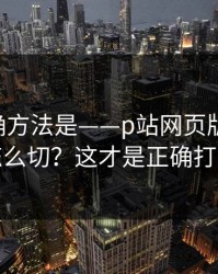 原来正确方法是——p站网页版-语言与地区怎么切？这才是正确打开方式