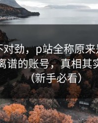 越查越不对劲，p站全称原来是这个原因：最离谱的账号，真相其实很简单（新手必看）