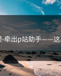 一手整理-牵出p站助手——这次说透了