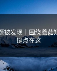 隐藏专题被发现｜围绕蘑菇短剧｜关键点在这