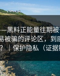 说真的——黑料正能量往期被带节奏了：最容易被骗的评论区，到底谁在撒谎？｜保护隐私（证据链）