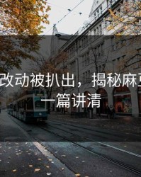新版本改动被扒出，揭秘麻豆社区：一篇讲清