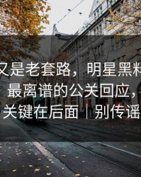 我以为又是老套路，明星黑料被营销号盯上｜最离谱的公关回应，别眨眼，关键在后面｜别传谣