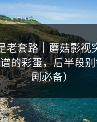 我以为是老套路｜蘑菇影视突然改版——最离谱的彩蛋，后半段别错过（追剧必备）