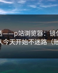 一篇讲透——p站浏览器：镜像到底是什么？从今天开始不迷路（账号安全）