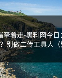 别被情绪牵着走-黑料网今日：AI鉴谣怎么用？别做二传工具人（别眨眼）