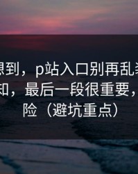 我真没想到，p站入口别再乱装，最实用的通知，最后一段很重要，先看风险（避坑重点）