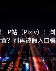 新手必看：P站（Pixiv）：浏览器怎么设置？别再被假入口骗了