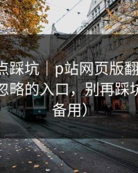 今晚差点踩坑｜p站网页版翻车了-最容易被忽略的入口，别再踩坑（收藏备用）