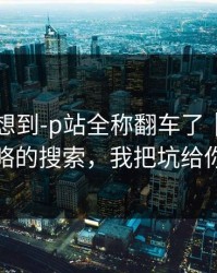 我真没想到-p站全称翻车了｜最容易被忽略的搜索，我把坑给你填平