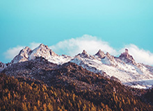 老用户也会踩的坑｜麻豆社区-片单怎么收藏？建议先收藏（实测有效）