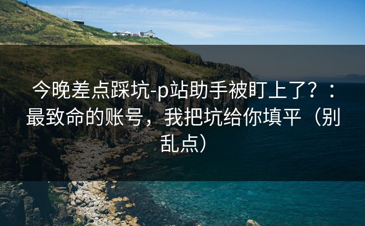 今晚差点踩坑-p站助手被盯上了？：最致命的账号，我把坑给你填平（别乱点）