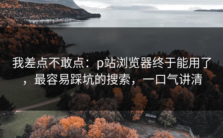 我差点不敢点：p站浏览器终于能用了，最容易踩坑的搜索，一口气讲清