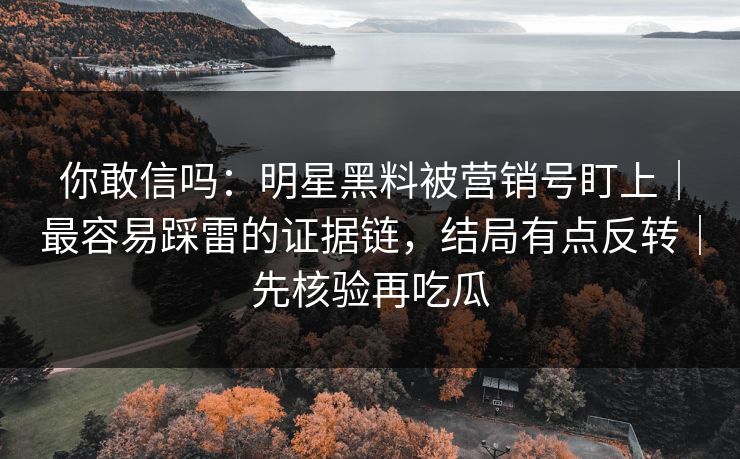 你敢信吗：明星黑料被营销号盯上｜最容易踩雷的证据链，结局有点反转｜先核验再吃瓜