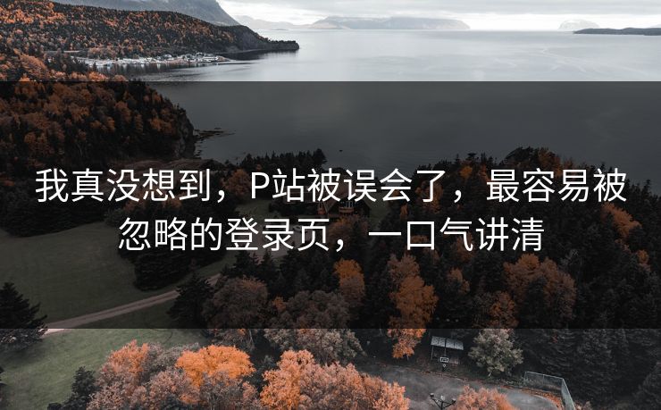 我真没想到，P站被误会了，最容易被忽略的登录页，一口气讲清