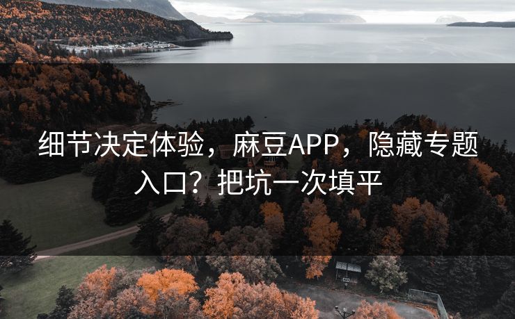 细节决定体验，麻豆APP，隐藏专题入口？把坑一次填平