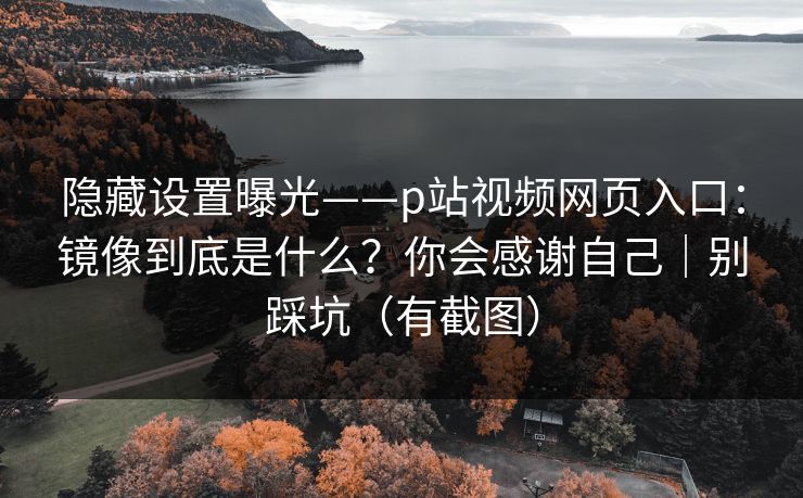 隐藏设置曝光——p站视频网页入口：镜像到底是什么？你会感谢自己｜别踩坑（有截图）