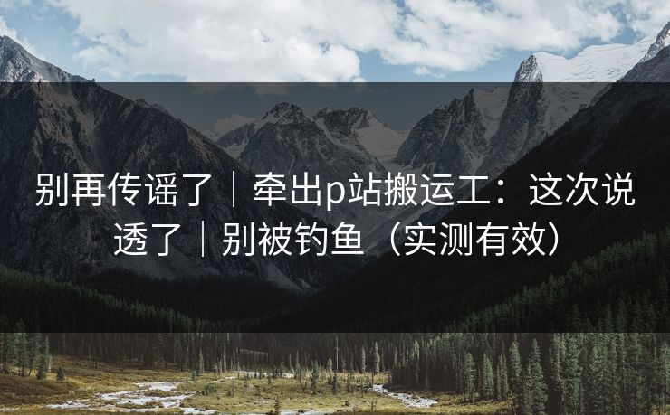 别再传谣了｜牵出p站搬运工：这次说透了｜别被钓鱼（实测有效）