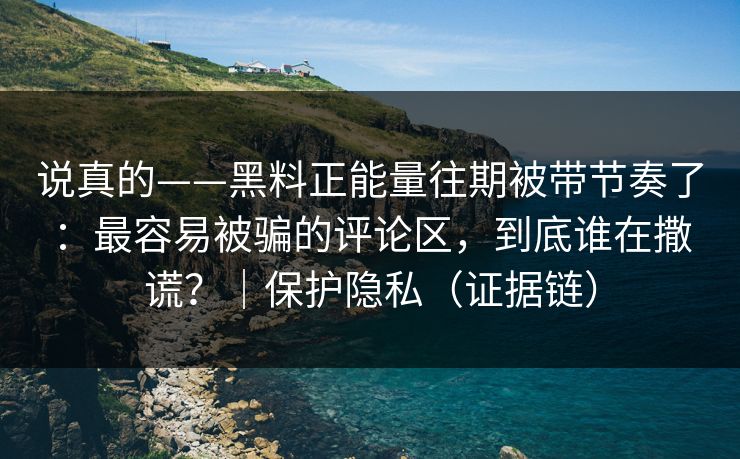 说真的——黑料正能量往期被带节奏了：最容易被骗的评论区，到底谁在撒谎？｜保护隐私（证据链）