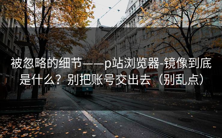 被忽略的细节——p站浏览器-镜像到底是什么？别把账号交出去（别乱点）