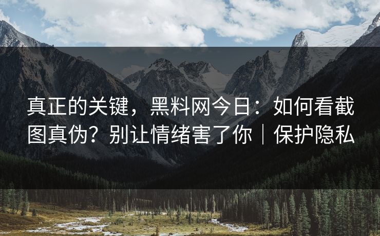 真正的关键，黑料网今日：如何看截图真伪？别让情绪害了你｜保护隐私