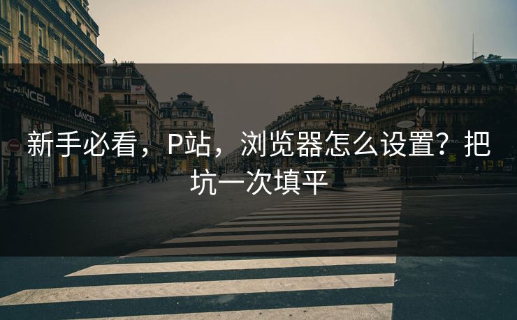新手必看,P站,浏览器怎么设置?把坑一次填平 新手必看,P站,浏览器怎么设置?把坑一次填平